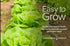 2000+ 2 Summer, Gardeners Basics, Buttercrunch Lettuce Seeds for Planting - Butterhead Boston Bibb Heirloom, Non-GMO