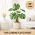 Craft911 2 Pack 28 Moss Pole Monstera Plant Support Bendable Moss Pole Monstera Plant Support, Plant Stakes for Indoor