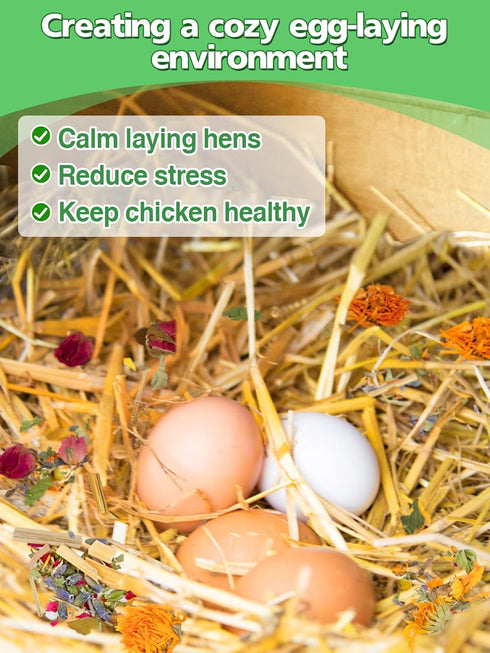 21OZ 6 Chicken Nesting Herbs for Outdoor Indoor Chicken Coop - Natural Egg-Laying Box Feed Herbs in Premixed Dried