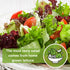 Packet (1) Sow Right Seeds - Mixed Heirloom Lettuce Seeds for Planting - Non-GMO Heirloom with Instructions to Plant
