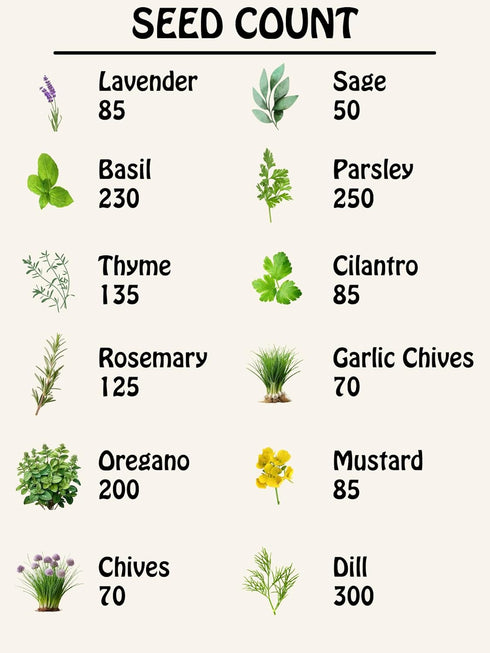 Pack 12 Herb Seed Collection - Varieties Including Basil, Parsley, Rosemary, Dill, Chives, Garlic Chives, Oregano