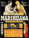 Wee Blue Coo 12X16 Inch Political Drug Abuse Marijuana Weed Art Print Poster Wall Decor