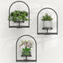 PEKGRIL 3 Pack Wall Plant Holders, Metal Window Planters Shelves, Indoor Plants