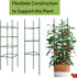 Caonysh 36PCS 11.8" 11mm Plant Stake Arms for Tomato CageExpandable Plant Supports Trellis Connector Clips for Garden