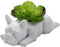 White Resin Dog Succulent Planter, Cute French Bulldog Shape Mini Puppy Air Plant Planter for Home Garden Decor