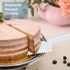 TINSKY 50Pcs Plastic Disposable Cake Cutter 9.1Inch Disposable Cake Cutter Pie Server Plastic Cake Spatula Cake Serving Utensils Plastic Pizza Cutter (Clear)
