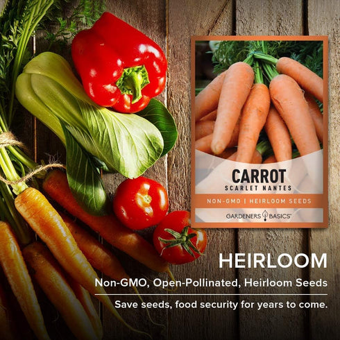 2 Gardeners Basics Carrot Seeds for Planting - Scarlet Nantes - is A Great Heirloom, Non-GMO Vegetable Variety, Grams