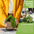 Indoor Herb Garden Starter Kit - Non GMO, Heirloom Herb Seeds - Cilantro, Oregano, Parsley and Basil Seeds for Planting