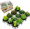 Outee 12 Pcs Handmade Cactus Tealight Candles - Delicate Succulent Candle Mini Tea Lights for Home Décor