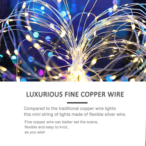 Waterproof LED String Lights, 2 Pack 20ft 60 LED Festival Decorations, Battery Powered Copper Wire Fairy Lights