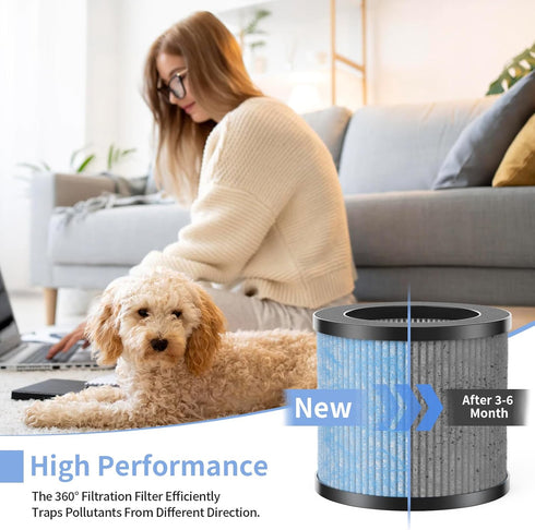TPAP002 True HEPA Replacement Filter, Compatible with TOPPIN TPAP002 HEPA Purifier, 4-IN-1 Filters (2-Pack)