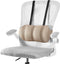 Veitail Lumbar Support Pillow for Office Chair and Car Seat,Back Support for Office