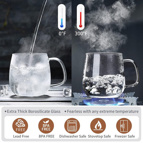 17.6oz/520ml DOPUDO Glass Tea Cup with Infuser and Lid, Large Borosilicate Teacup,Tea Glass, Clear Mug for Loose Leaf
