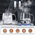 17.6oz/520ml DOPUDO Glass Tea Cup with Infuser and Lid, Large Borosilicate Teacup,Tea Glass, Clear Mug for Loose Leaf