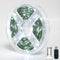 ziloes Fairy Lights 33 FT 100 LED USB Twinkle String Lights Plug in