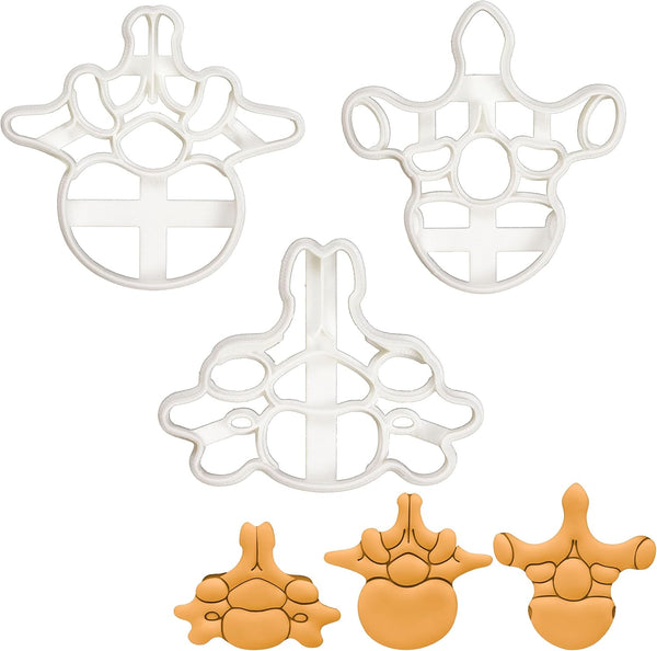 Set of 3 Vertebrae Cookie Cutters (Designs: Cervical, Lumbar, Thoracic Vertebra) - Bakerlogy