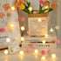 ChiRee 9.85Ft String Lights 20 Cute Pink Pompoms 20 LEDs Rose Fairy Lights