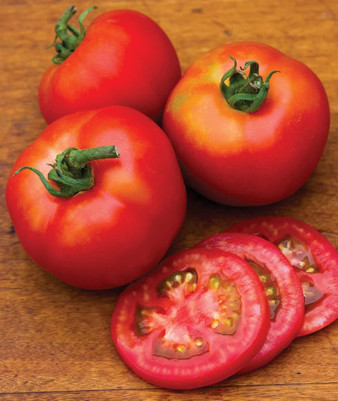 50 Burpee 'Early Girl',Slicing Tomato, Non-GMO Seeds