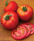 50 Burpee 'Early Girl',Slicing Tomato, Non-GMO Seeds