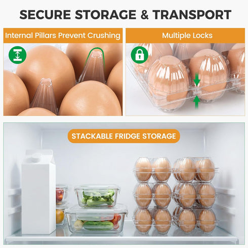 60 6 Count 60PCS HANSGO PCS Plastic Egg Cartons Bulk, with Date Labels, Clear Stackable Egg Holder for Fresh Medium