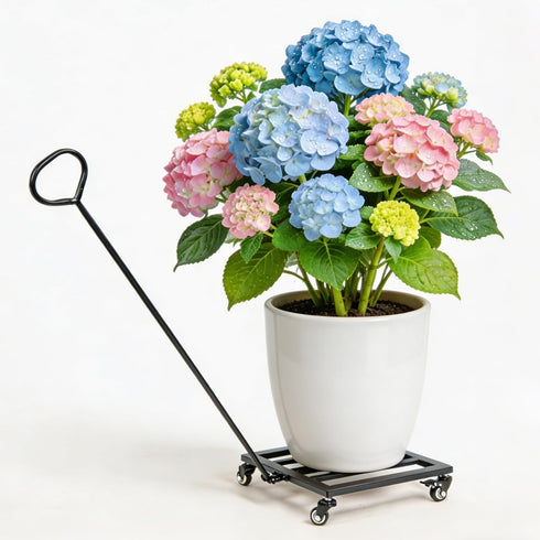 Heavy Duty Plant Caddy with Wheels 12Inch - 200lb Weight Capacity -