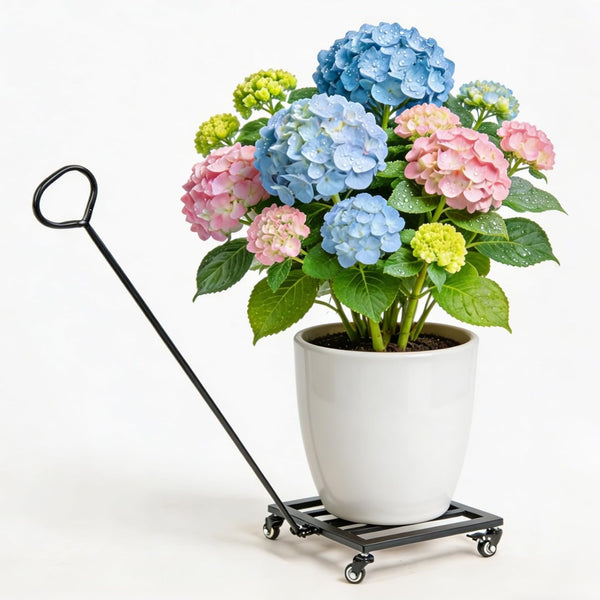 Heavy Duty Plant Caddy with Wheels 12Inch - 200lb Weight Capacity -