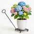 Heavy Duty Plant Caddy with Wheels 12Inch - 200lb Weight Capacity -