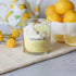 Dessert Candle Lemoncello, Long Lasting Scent Citrus Bergamot Mint, Natural Coco Soy Wax, 9 oz