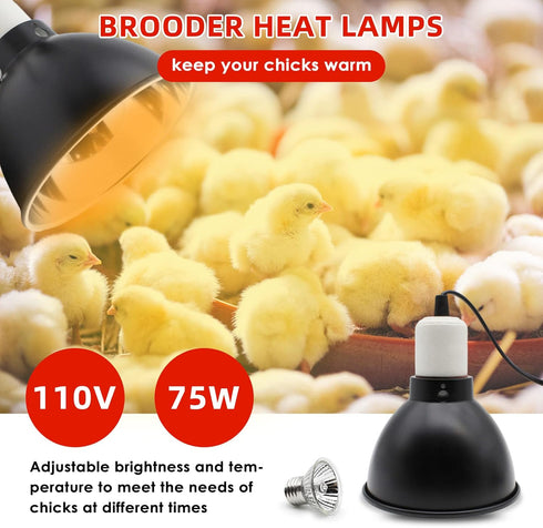 75W Chick Feeder and Waterer Kit with Heat Lamp, Chick Perch, Flip Top Poultry Feeder, Baby Chick Starter Kit for Chick