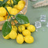 Pack of 6 Artificial Cherry Lemon Banana Peanut Orange Mulberry Bunch Simulation Plastic Fake Fruit for Decoration