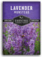 Munstead English Lavender Seeds for Planting Compact Dwarf Hardy Perennial Herb for
