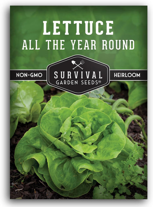 All the Year Round Lettuce Seeds for Planting Slow-Bolting Butterhead Variety for