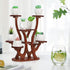 9 Jotsport Pots Mini Succulent Stand Windowsill Small Plant Stand Multi Layers Succulents Display Shelf Kitchen