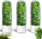 HVECT Herb Saver for Refrigerator, Herb Saver Pod Cilantro Containers for Refrigerator, Fresh