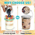 4 Pack 20 oz (16+4) Overnight Oats Containers with Lids and Spoons, Overnight Oats Jars, Glass Mason Jars with Dry
