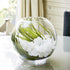 WGV Bowl Glass Vase, 8" Diameter, 6.5" Height, Clear Bubble Planter for Wedding Event Home Decor