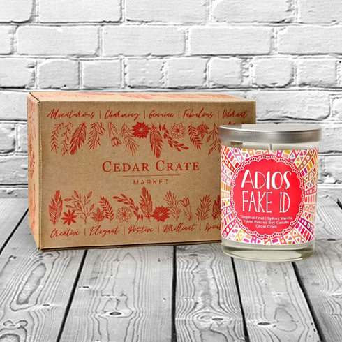 21st Birthday Gifts for Her, Adios Fake ID, Funny Gifts for Daughter, Sister, Best Friend, 15 Oz Tumbler