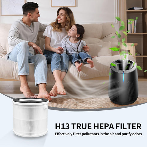 KQ-29 True HEPA Air Filter Replacement for FRIWOLE Small Air Purifiers, 2-Pack