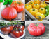 Harley Seeds 30 19 Mixed Seeds Giant Tomato Seeds, Mix of Varieties, Heirloom Non-GMO, Brandywine Black, Red, Yellow