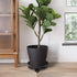 2 Pack of Plant Pallet Caddy, Planter Pot Rolling Mover, Plant Stand Dolly Casters with Wheels, Indoor Outdoor Plant