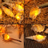 Natural Conch LED String Lights, 10 Ft, 10 LED, Battery Powered, Waterproof, Warm White, Beach Theme Fairy Lights with