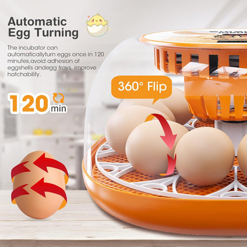 12 Egg Incubator with Automatic Egg Turning and Temperature Control, Automatic Water Adding, LED Egg Candler