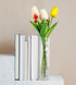 Acrylic Book Vase for Flowers, Modern Aesthetic Flowers Vase for Bookshelf, Desk, Room, Office, Home Decor (Clear)