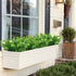 Leyaron 9 Bundles Fake Plants - Artificial Boxwood Greenery, 63 Stems Faux Plastic Plants for Indoor Outdoor Decor
