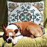 Onelsong Decorative Pillow Covers, Set of 2 Embroidery Square 18x18 inches for Couch Living Room
