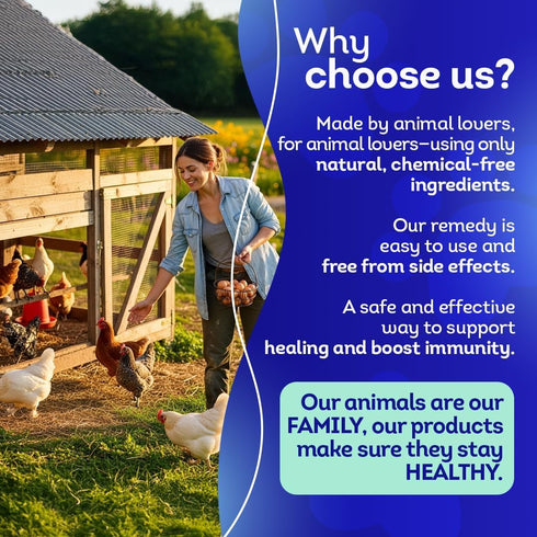 HA4E Immune 350 - Chicken Support for Mareks Disease - Natural Support & Strengthening - Highly Effective Homeopathic