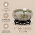 Water Lily Bowl Planter - Narcissus Bonsai Pot Ceramics Hydroponic Lotus Planter Ceramic Water Lily Pot with Stand No