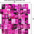 WOONKIT Pink Neon Wall Collage Kit - Aesthetic Pictures for Trendy Room Decor, 50pcs 4x6 Inch for Teen Girls