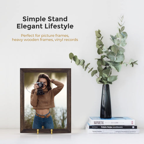TR-LIFE Plate Stands for Display - 6 Inch Plate Holder + Metal Frame Stand for Picture, Decorative Plate (Gold 2 Pack)