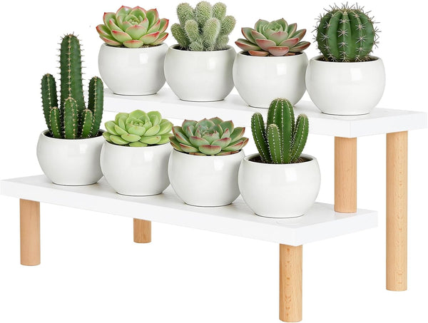 2 Tiered White Table Top Plant Stand, 15mm Thick Wooden Desktop Succulent